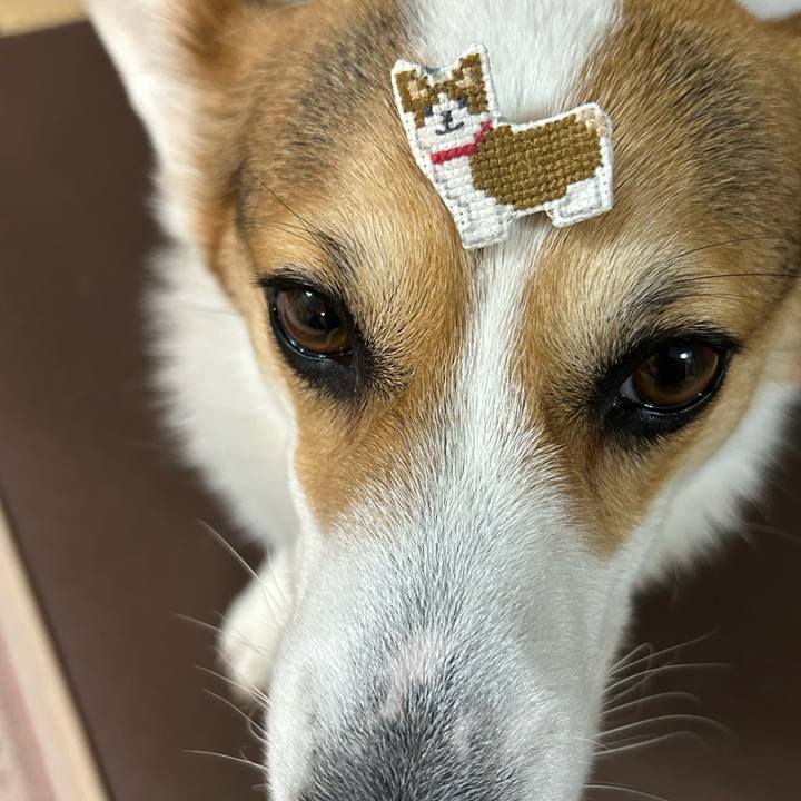 Baf50c99 481b 4fde 8588 40f6ad201346 1770645781986