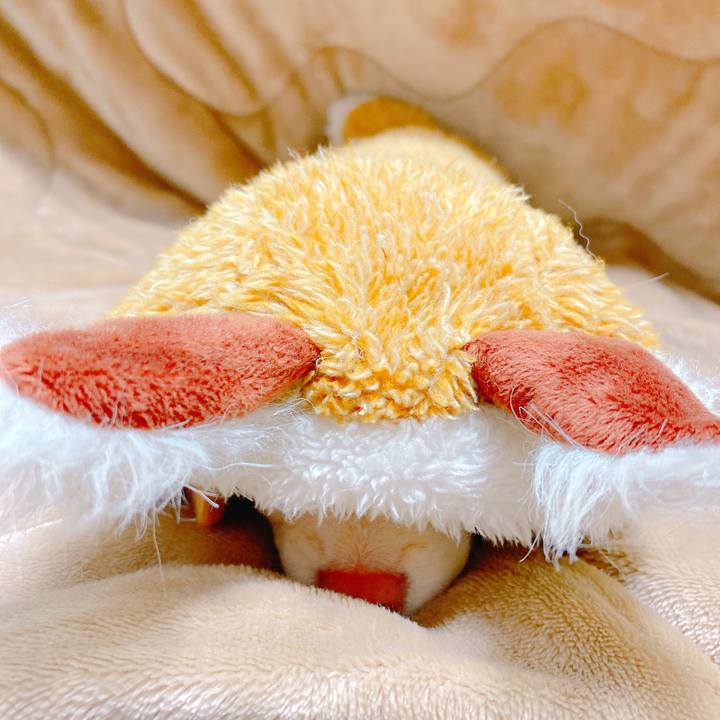 Baf517a9 3961 4445 9e6a 26940aafd942 1638190713729