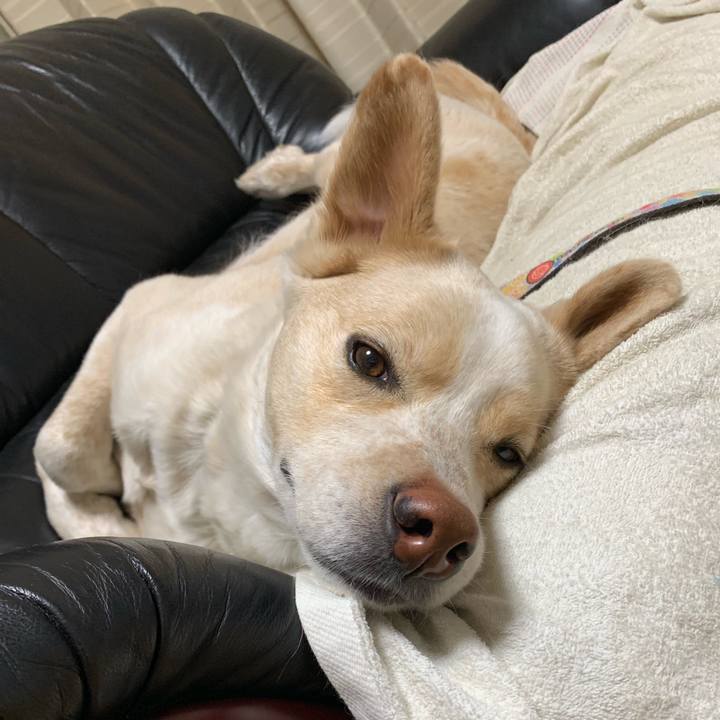 Baf5e72f 2cb8 4398 96e3 748997b91a06 1556375584076