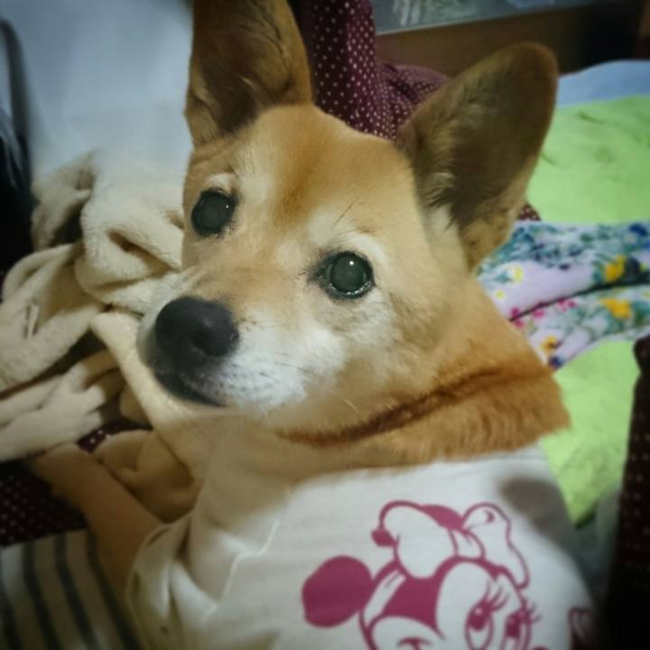 Baf5f1a0 eeb0 496e b537 ffaa8c4e5ccd 1545554397935