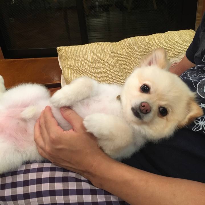 Baf602ae 61a2 4ca5 8f91 a24de79ccc79 1562413877666