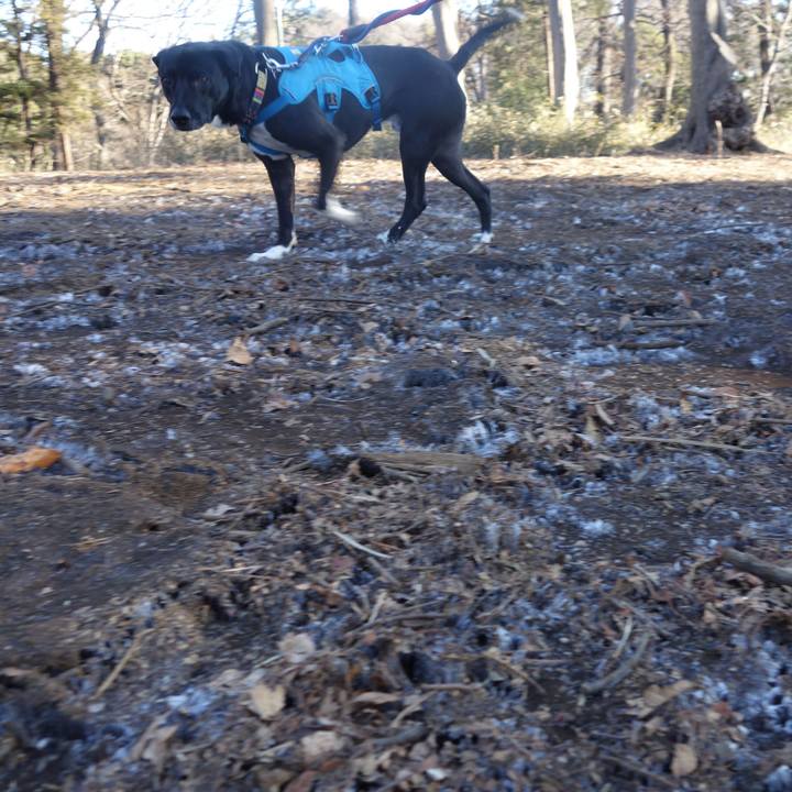 Baf63262 e229 4740 a93a a94bf1a56543 1613607592475