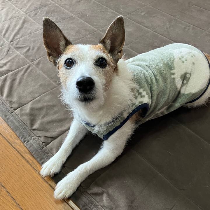 Baf670b7 95cb 457e 9a2d 5df695f5cd2a 1712013703417