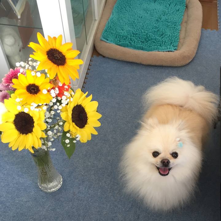 Baf67320 e251 4a71 b3be aed063f4029a 1593409342064