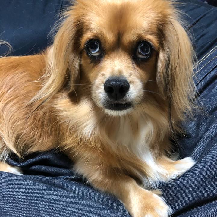 Baf6a2ff a7c9 4502 b4b9 8a2e4aa7758d 1572301620566