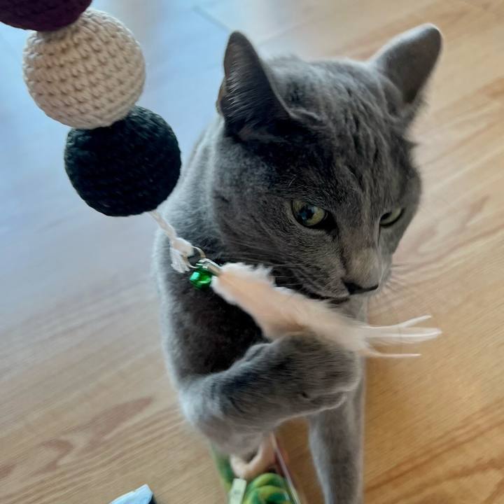 Baf6bb26 7d37 41a4 87f2 94005418e691 1638920864140