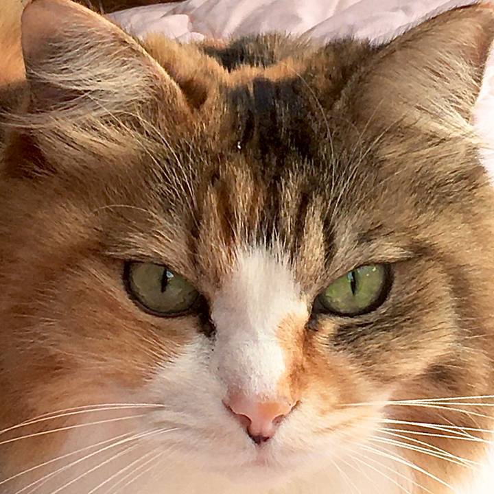 Baf6cce2 0c5d 47f9 9522 c49a9f3b6f03 1576740121516