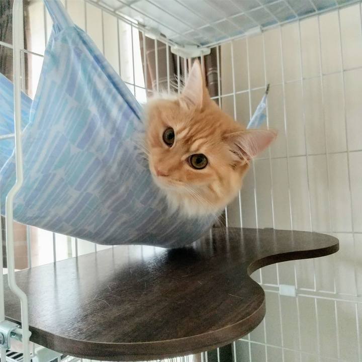 Baf6d2fe bc03 49ef a679 14401fe87575 1624158306494