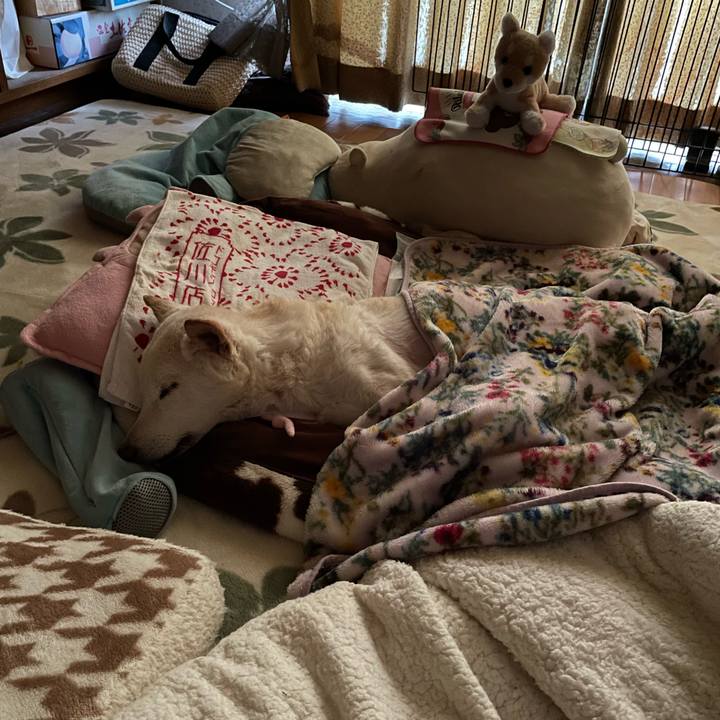 Baf6e3ea fa9b 4cac afeb 6e7c5923fbce 1679357201599