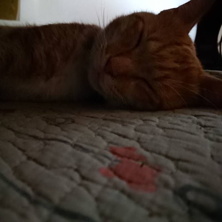 Baf6ea56 3d44 405a 9c0a bebe5e479630 1564290390581