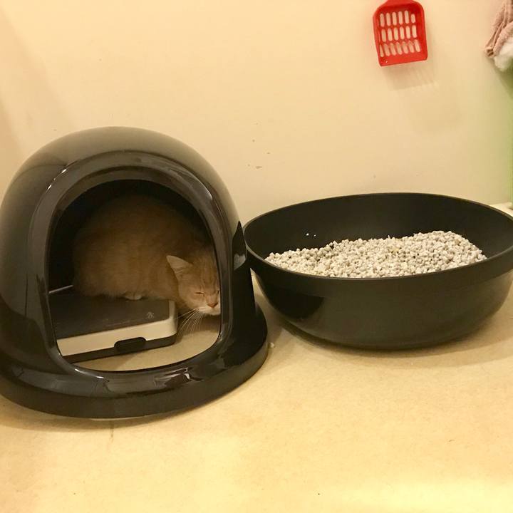 Baf73106 3f41 4fbc ab1e 95ed6fb33e78 1516437163875