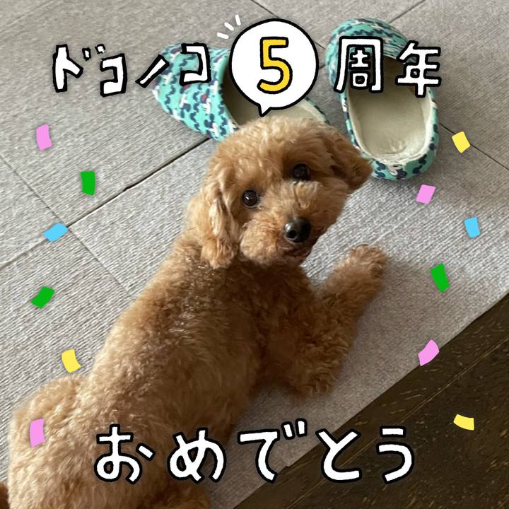 Baf74c05 f4dc 401e bd7f 131bc668be83 1622871143995