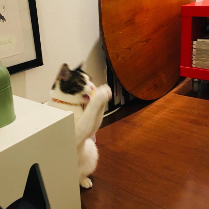 Baf7a246 6269 47f0 98fb ae4be3a4ec58 1593171471399