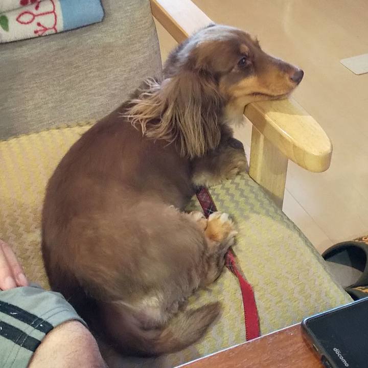 Baf7d6de 03a1 4679 840a d24247c4c428 1563706160792