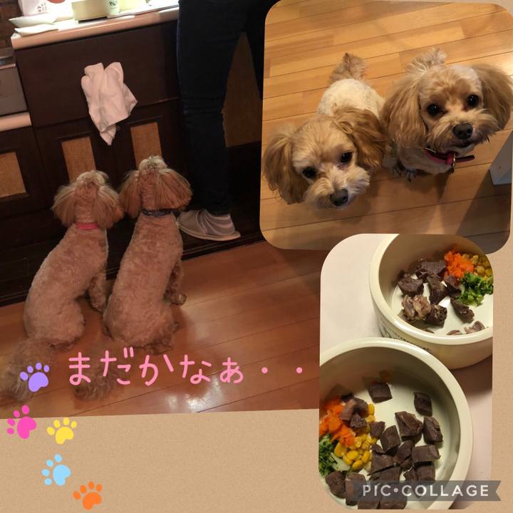 Baf7fee3 68ee 4769 975d e71e2bcf3e13 1668985669887