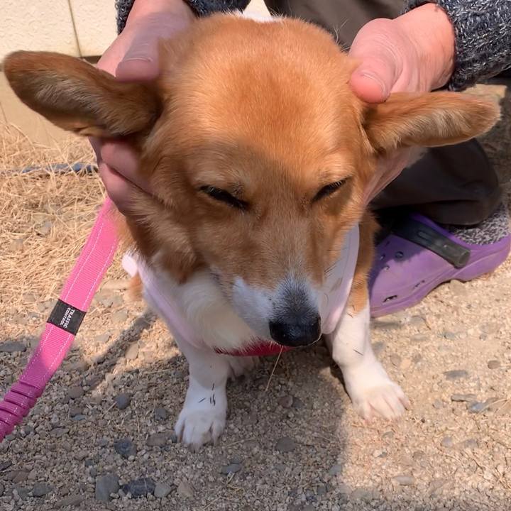 Baf83aaa ab2b 474e 85c6 ae556133b2b8 1676175818771