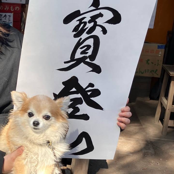 Baf8a4ea 433f 4636 a9a4 f12c726dbb94 1771238638508