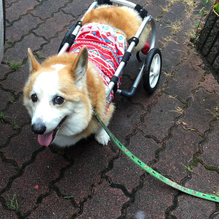 Baf8ca2f 95c2 4970 be33 6d09c1bb3943 1533600062007