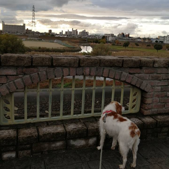 Baf8d873 399c 4d85 94c9 c15c60b26c83 1575273541940