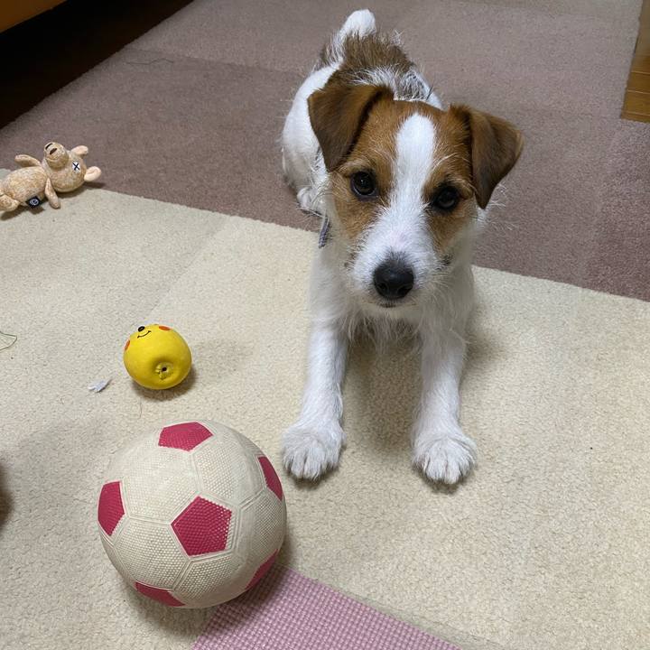 Baf8e378 7280 47c6 812f 9cd183da6431 1720738070493