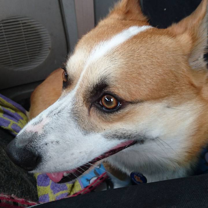 Baf8ed00 74dc 49f5 b24a 18f642cfa8be 1628828341679