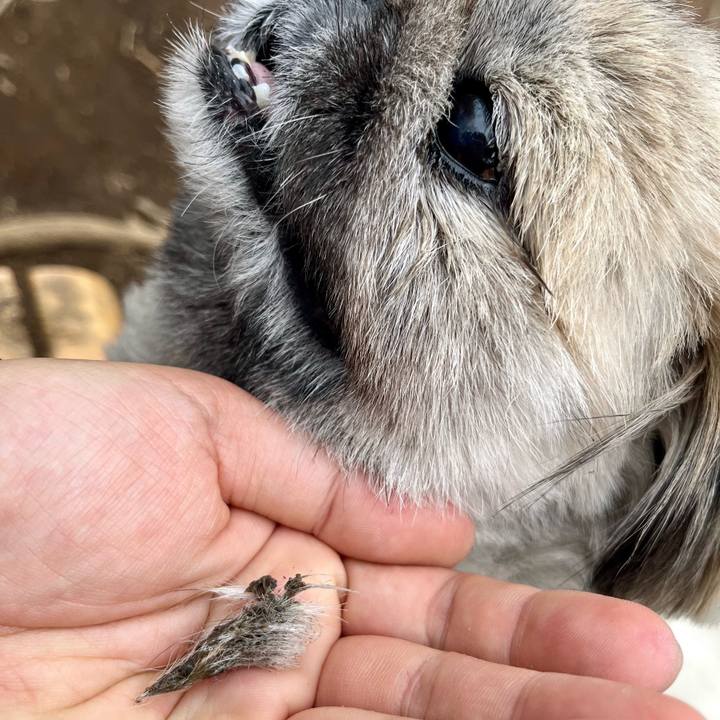 Baf8f22c 172f 4870 a57a 0679488c1c48 1772760309012