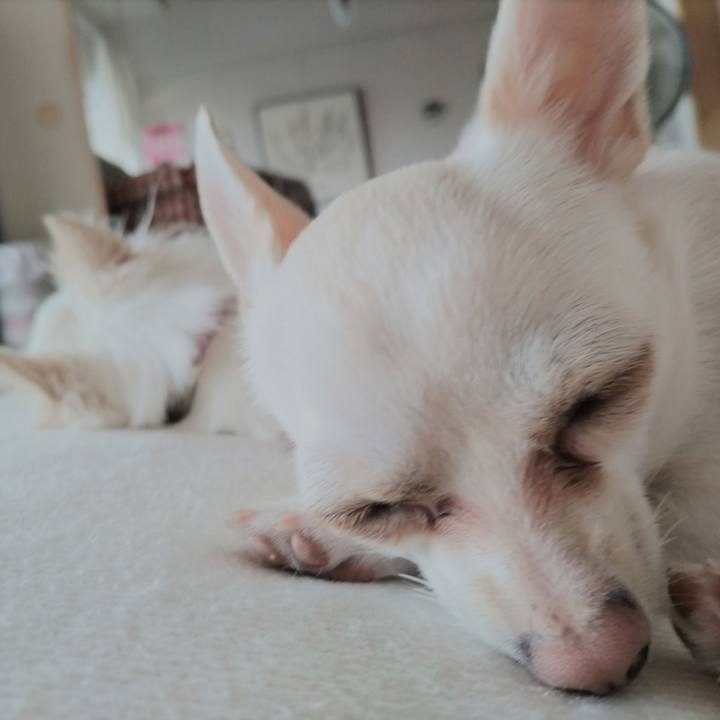 Baf91ea4 5163 421f bc77 fe8c6d1596fb 1750060065615