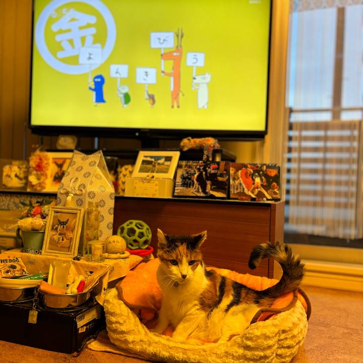 Baf924c9 04ea 400f b330 53f7a1e63b69 1702591559519