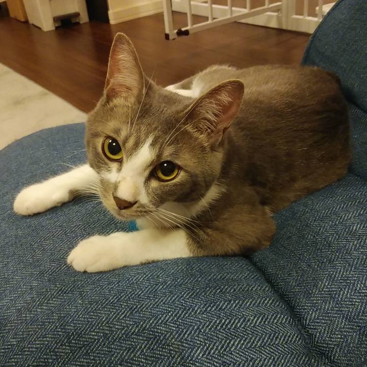 Baf93bb8 69e1 41c0 9b8b aa20d9c32563 1592229867841