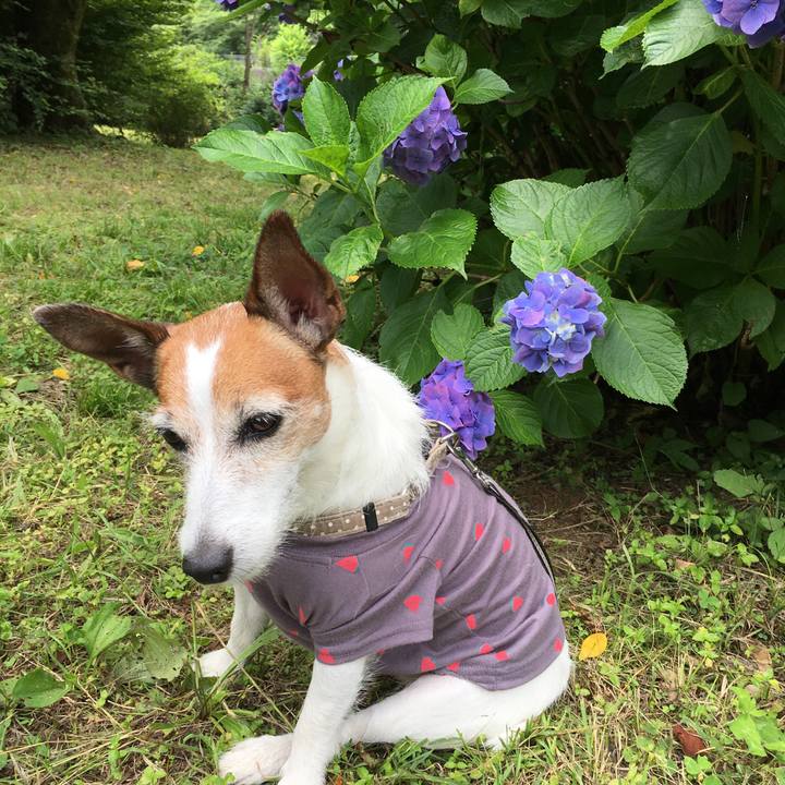 Baf95e4d e714 4142 8211 49ab8fbb2638 1625095960598