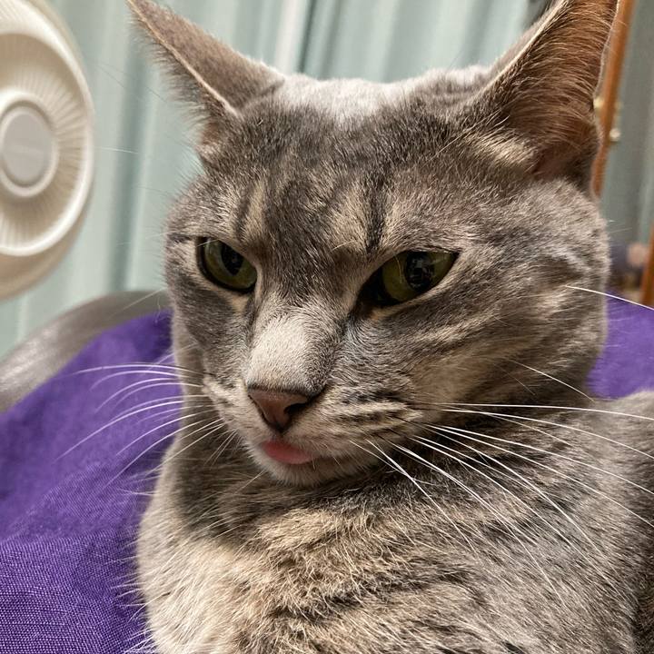 Baf9e93f a775 4f45 bd56 261b329aab76 1688300849553