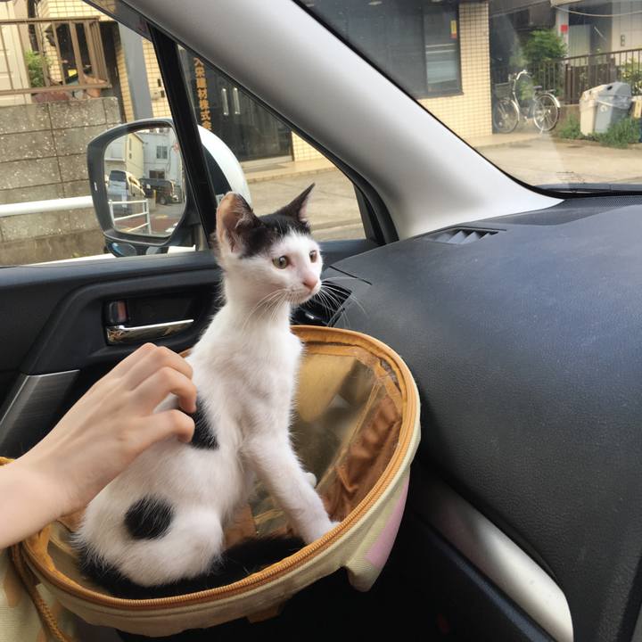 Baf9f154 b22f 4513 be5b d788a99983df 1532077673602