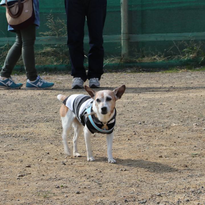 Bafa14bf 47f5 43cd ae25 6b4bcacd7fc9 1519563198548