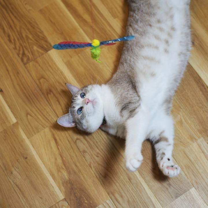 Bafa40bd 4695 41aa 846b 5704a03d329e 1564671733684