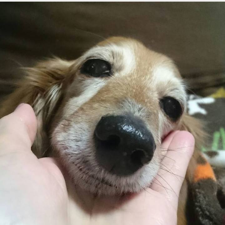 Bafa57c8 2c4d 4603 9253 179a80e645f3 1648570991806