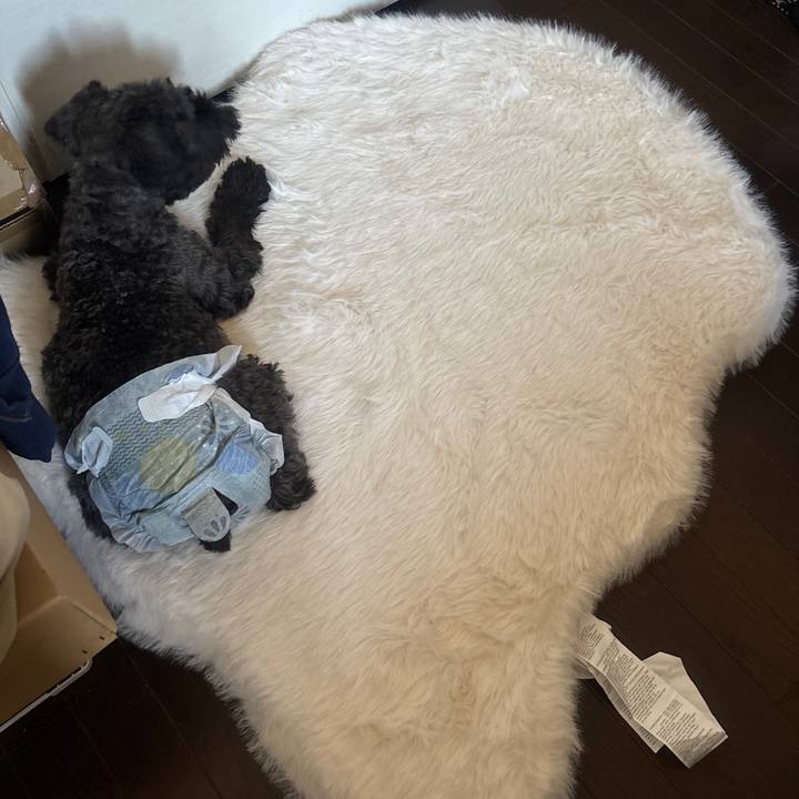 Bafa6515 a1a9 4d8f 92ed 62ad7f4a4b0e 1728698777152