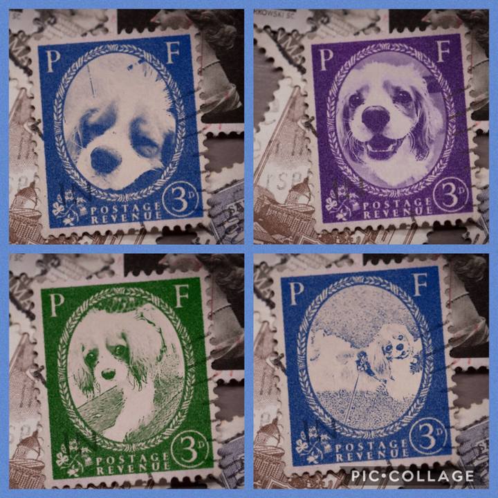 Bafa75d2 eb2e 4462 bdb2 6140f4754882 1570024958871