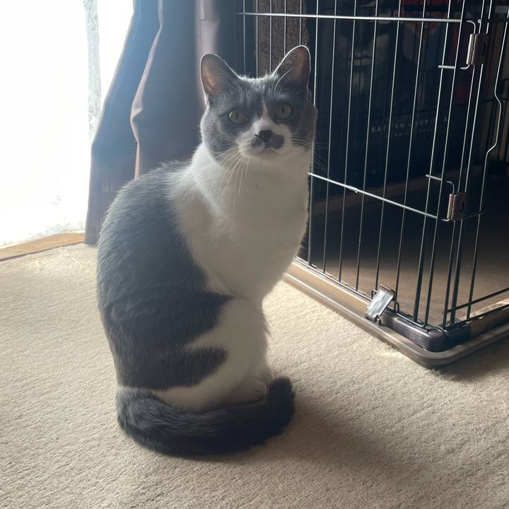 Bafab922 ce53 4e0c b2bf d76bf7ea99fb 1679187745751