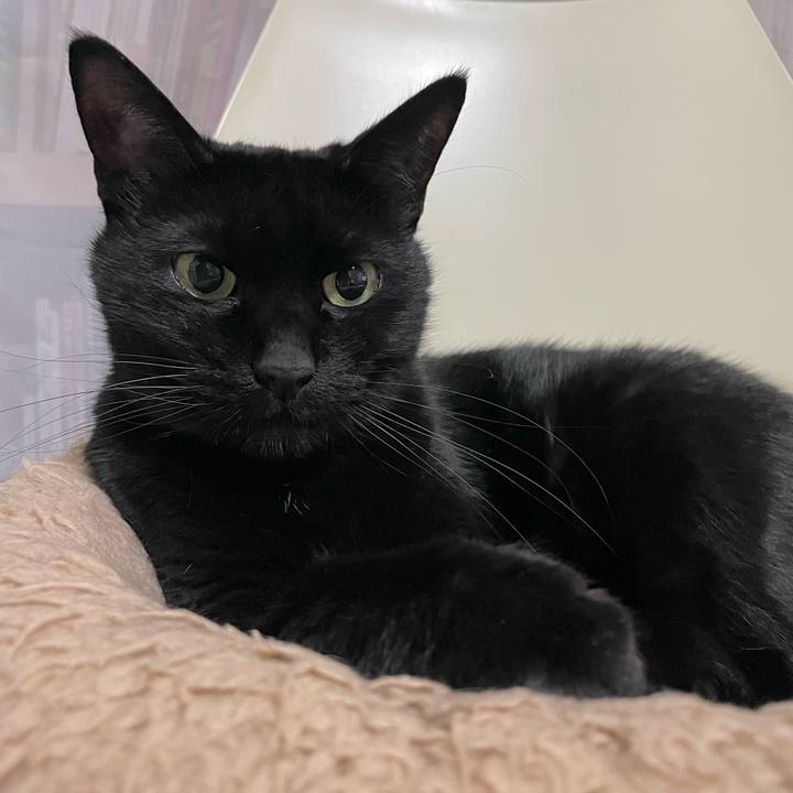 Bafaeea7 0bb0 4a9f ad02 9769c9ba5012 1676988152704