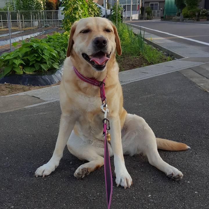 Bafaff78 b93f 453d b9b3 a4aefd1fc4b1 1531276298572