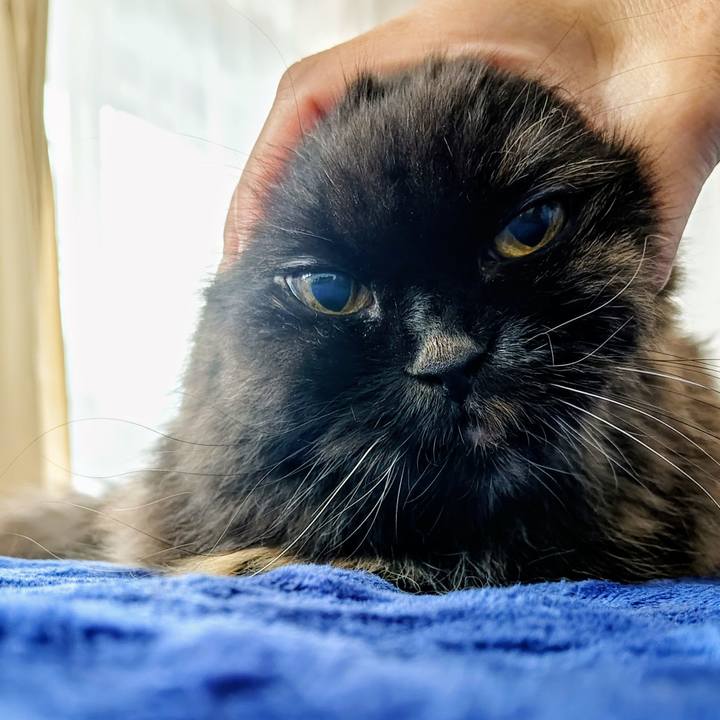 Bafb1a26 80bf 4d5d a723 e08e92757977 1764046758031