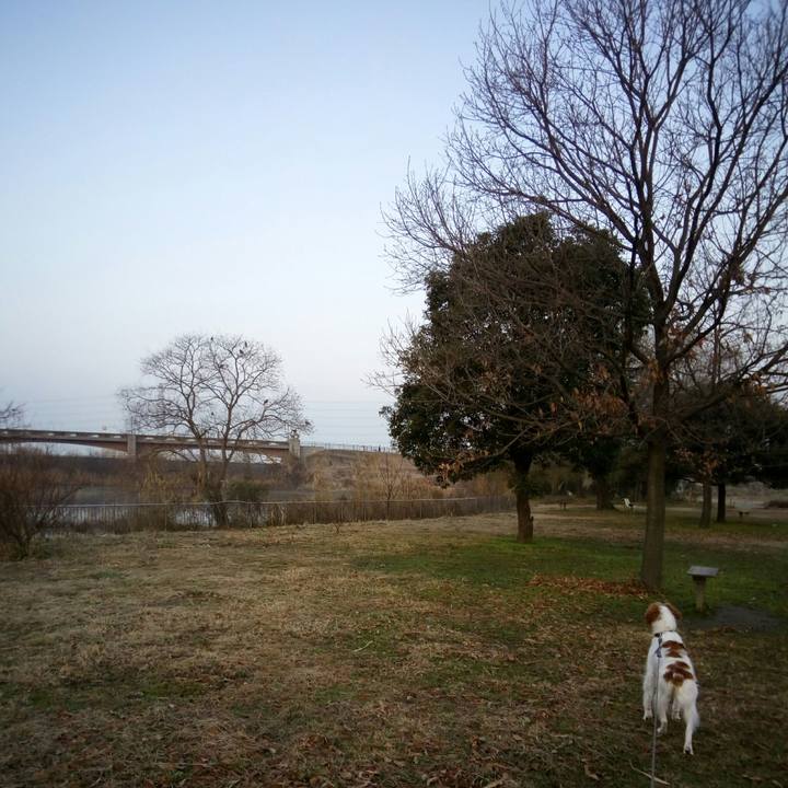 Bafb1cde 679f 41da 83b4 b226630dcfbe 1516404854619