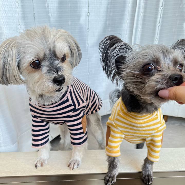 Bafb5278 f103 46b1 b8f5 ac308da57a99 1768607342785