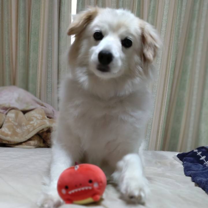 Bafb71b9 0b66 432d 938e e233e967e6b6 1650921171946