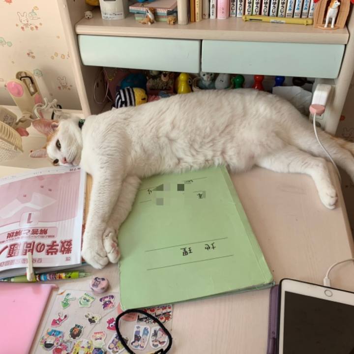 Bafb9c01 0ef9 4232 aec2 73d7d23c1c77 1566025737160