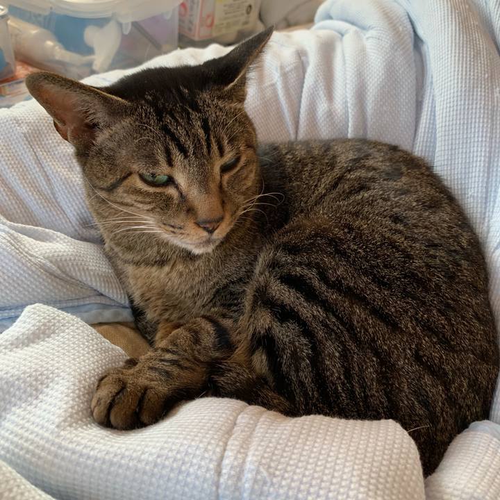 Bafbb1d1 5b3c 4560 9f57 bc955ba83b30 1538443099267