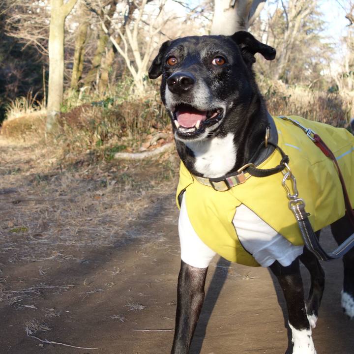 Bafbc685 c7d5 476e a1e1 95d6406b8795 1739151941640