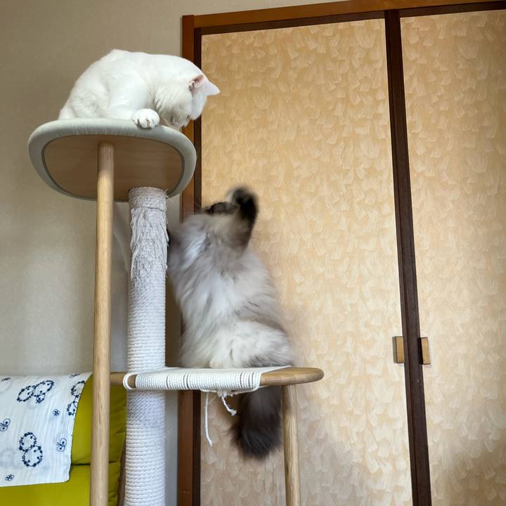 Bafbd134 105f 46a6 bab1 6639eb8ddf1b 1756033398525