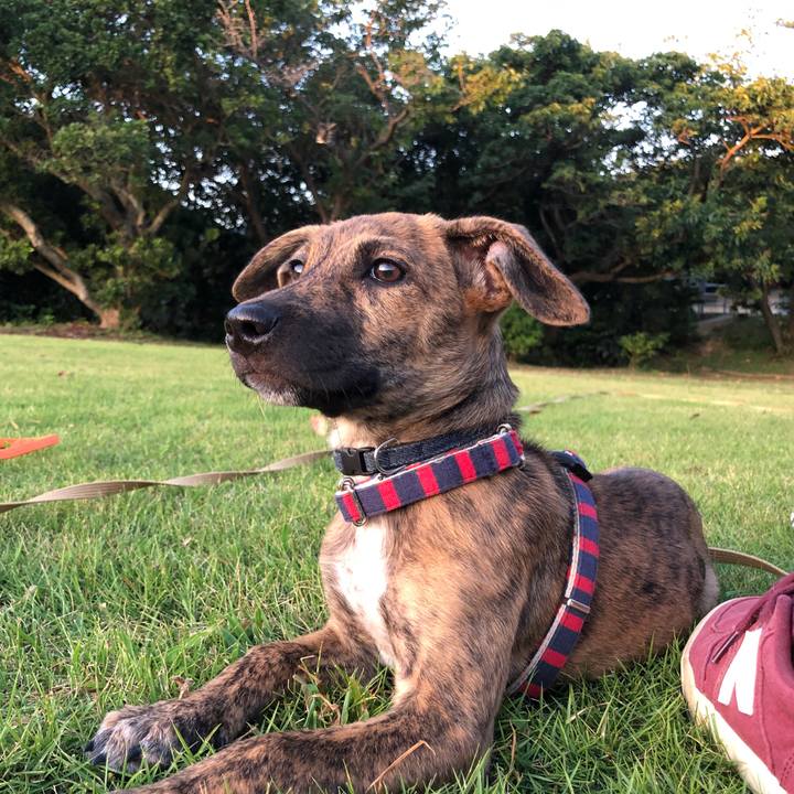 Bafc3c5d c33c 4e8a b870 f087a1b2d8d4 1568892390913