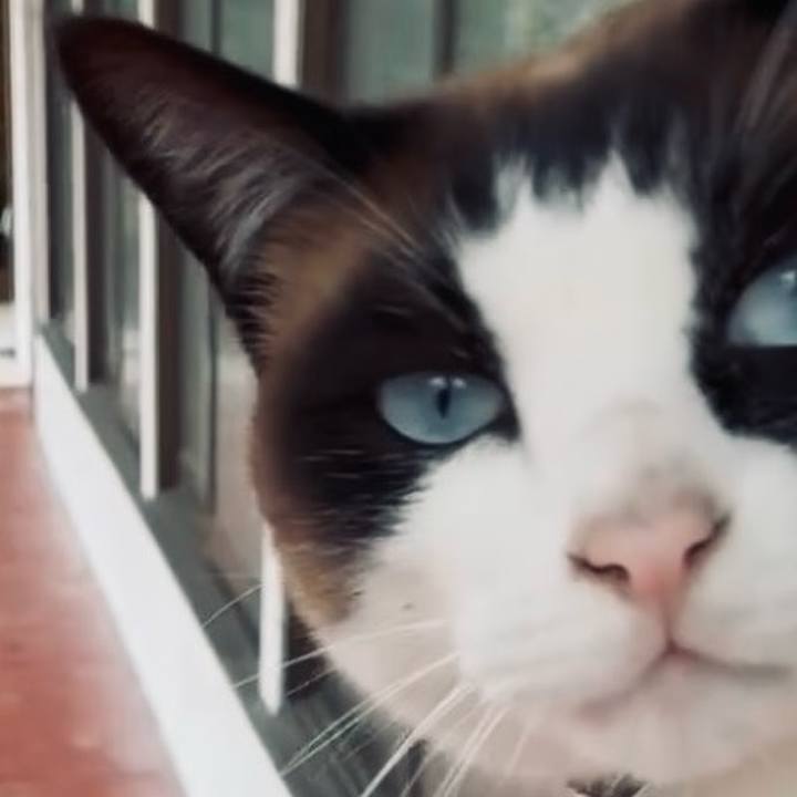 Bafc657d b492 477e b7e4 a78c85649fdd 1748864542543